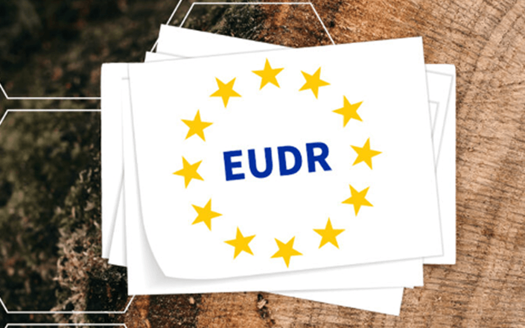 EU bereikt akkoord: EUDR uitgesteld